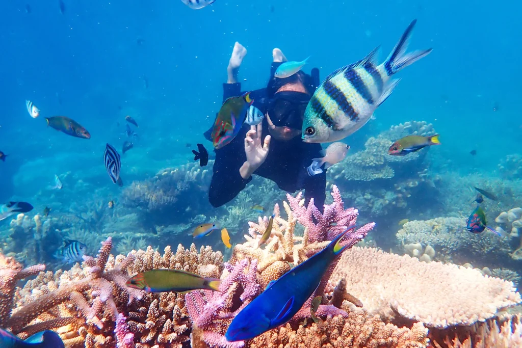 The coral reefs of the Red Sea are among the favorite spots for divers from around the world.