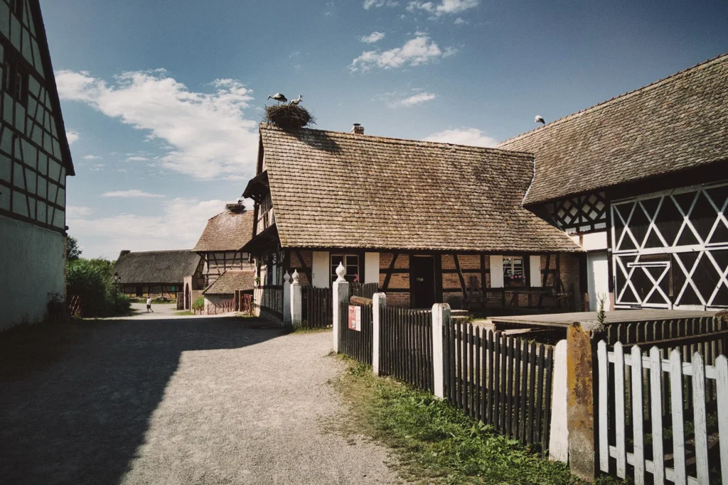 Stork nests can be found on the rooftops of many buildings at the Alsace Ecomuseum.