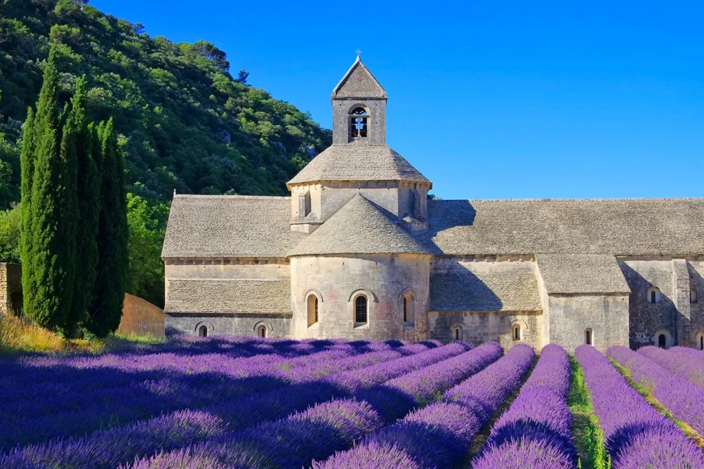 Lavender fields and Sénanque Abbey in the town of Gordes.