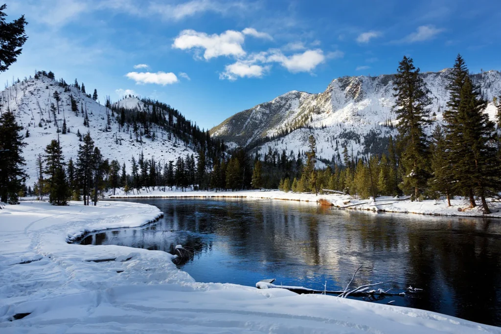 In winter, Yellowstone is completely covered in snow.