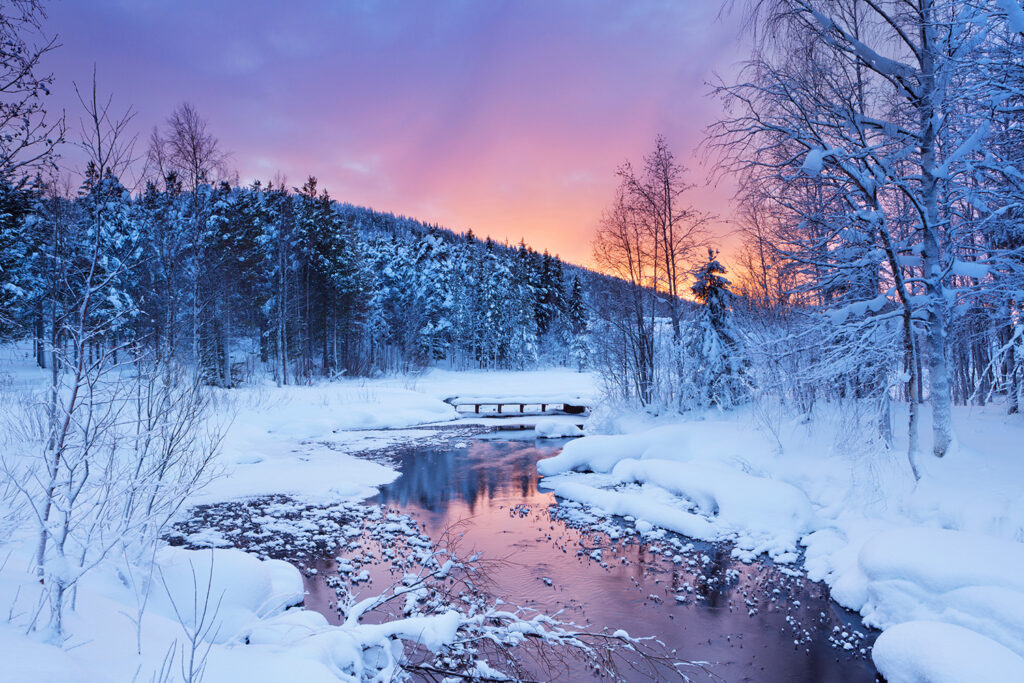 Snow-covered landscapes of Levi.