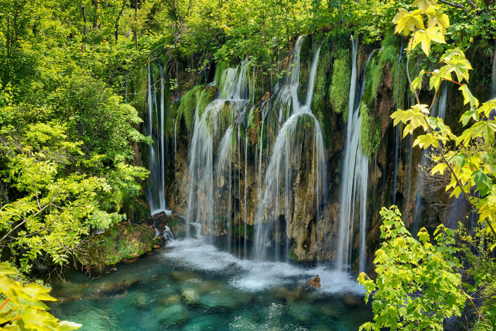 The living residents of Plitvice Lakes National Park.