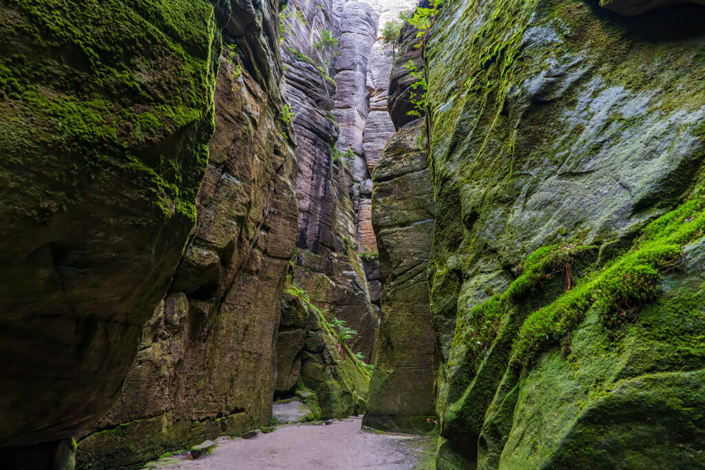 The Adršpach Rock City near the town of Adršpach is one of the most frequently visited nature reserves in the Czech Republic.