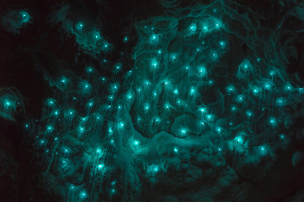 Many visitors to this cave say its glowing ceiling resembles a starry night sky.