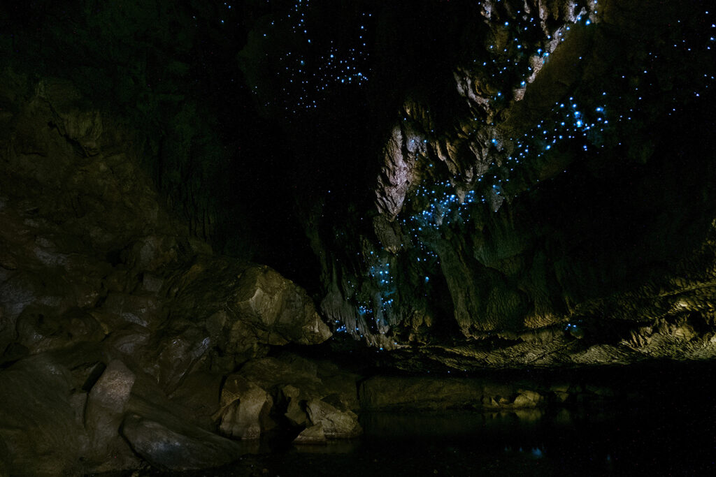 During a short boat ride, you can see the glowworms’ reflections in the water, adding even more charm to the experience.